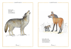 Inventario ilustrado de animales con cola - tienda online