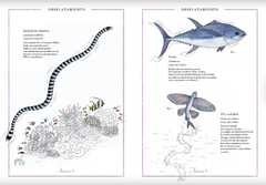 Inventario ilustrado de animales con cola - Libros del Oso