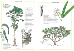 Inventario ilustrado de árboles en internet