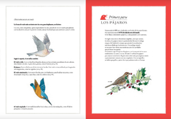 Inventario ilustrado de aves - Libros del Oso