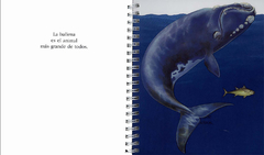 La ballena - Primeros descubrimientos en internet