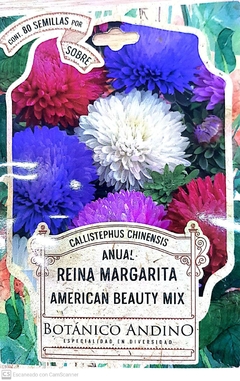 Reina Margarita. American Beauty Mix