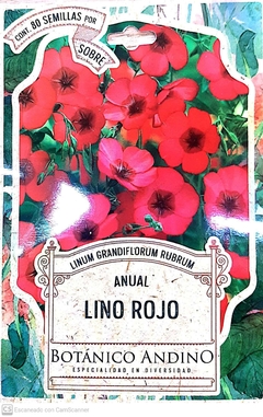 Lino Rojo