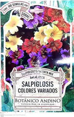 Salpiglosis. Colores Variados