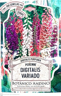 Digitalis Variado