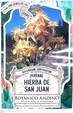 Hierba de San Juan