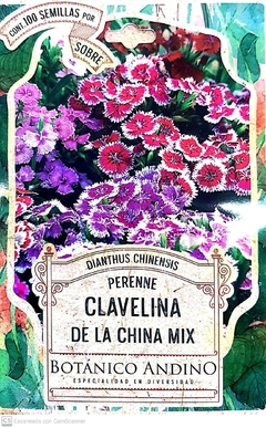 Clavelina de la China Mix