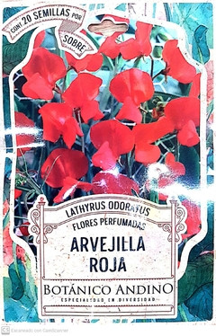 Arvejilla Roja
