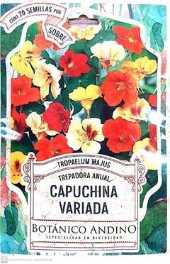 Capuchina Variada