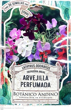 Arvejilla perfumada