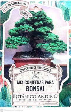 Mix coniferas para Bonsai