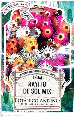 Rayito de sol Mix