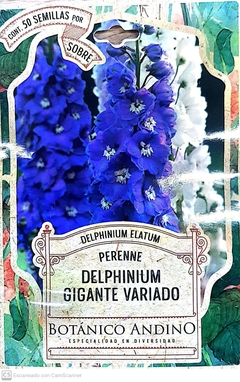 Delphinium Gigante Perfumado