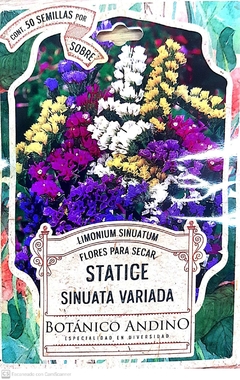 Statice Sinuata Variada