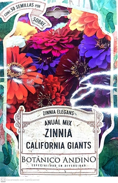 Zinnia. California Giants