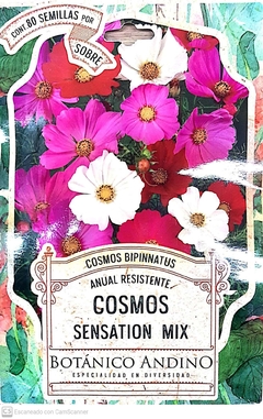 Cosmos Sensation Mix