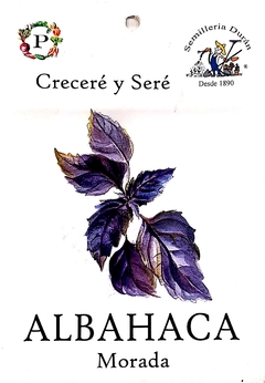 Sobre Semilla Huerta- Albahaca Morada