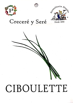 Sobre Semilla Huerta- Ciboulette