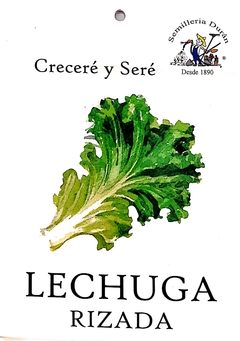 Sobre Semilla Huerta- Lechuga Rizada