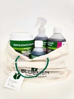 Bloemen - Fertilizante Foliar Concentrado 250 cc en internet