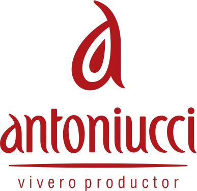 Vivero Antoniucci