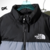 Campera The North Face en internet