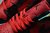 Air Jordan 1 Retro Low 'Gym Red' on internet