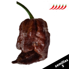 Scorpion Chocolate - comprar online