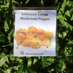 Semillas Ají Chile Picante, Jamaican Yellow Mushroom, tu huerta picante en Argentina año 2020
