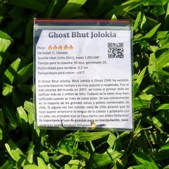 Semillas Ají Chile Picante - Ghost Bhut Jolokia (Ají Fantasma) - Tu huerta en argentina año 2020, el segundo ají más picante del mundo