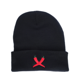 Beanie LXP en internet