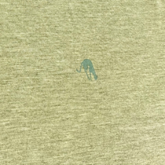 Camiseta Gola Careca de Poliamida Verde 1104 na internet