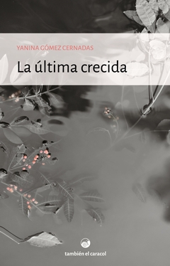 ULTIMA CRECIDA, LA