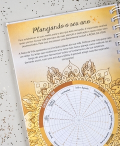 Planner Ano Milionário + Técnicas na internet