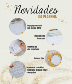 Planner Ano Milionário + Técnicas - comprar online