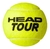 TUBO HEAD TOUR X3 EX ATP GOLD