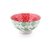 Bowls Porcelana Estampada Verde/Rojo - comprar online