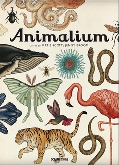 Animalium