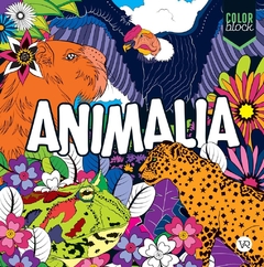 Animalia Color block