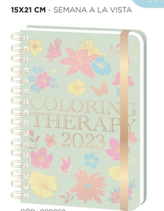 Agenda 2023 Coloring Therapy semanal