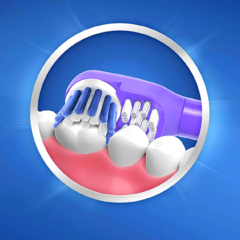 Escova Elétrica Infantil Oral B Rotativa Pilha Inclusa Menino na internet