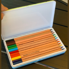 Kit com 12 Lápis de Cor Aquarelável na Case Organizadora/3
