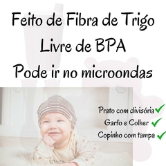 Pratinho Infantil Para Bebê Com Divisão Copo Talher Kit Lyor/7