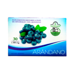 ARANDANO AZUL X 30 - EL NATURALISTA