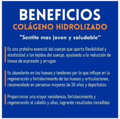 COLÁGENO HIDROLIZADO + ACIDO HIALURÓNICO X 360GR PEPTIXAN - comprar online