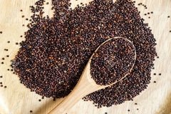 QUINOA NEGRA SEMILLAS X 100GR - BIO - Altezza Natural