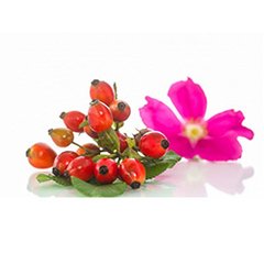 ROSA MOSQUETA FLOR O ESCARAMUJO X 100 GR - BIO - comprar online