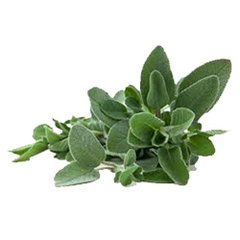 SALVIA DESHIDRATADA OFFICINALIS X 10GR BIO