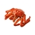 CENTOLHA (KING CRAB) INT COZ 1800/2000 IMP CONG