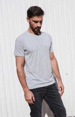 REMERA THEY GRIS - comprar online